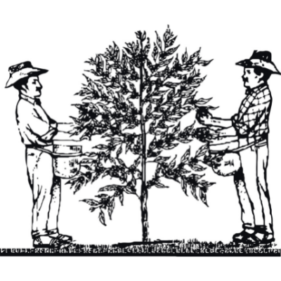 Unión de Ejidos y Comunidades San Fernando (UESF)