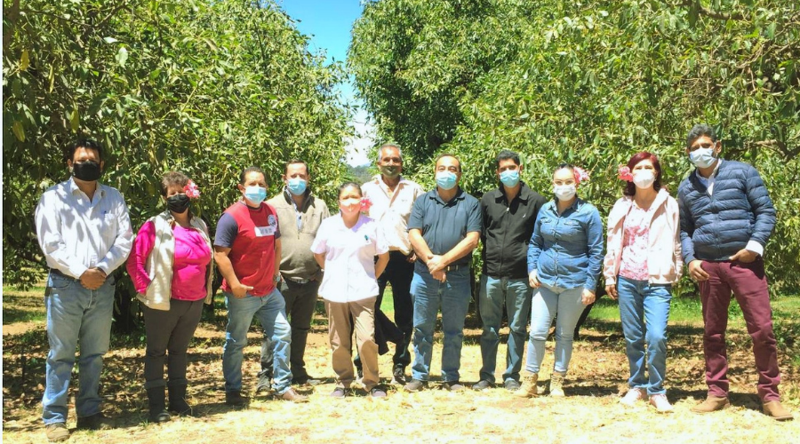 Proveedores Agrícolas Orgánicos (PRAGOR)