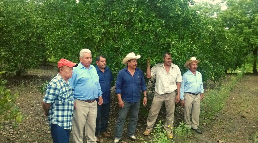 Unión de Productores de Paso Real 