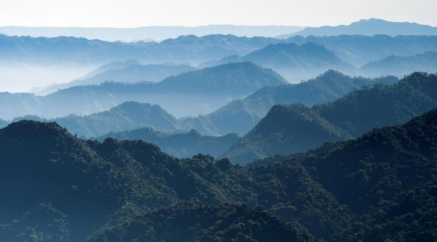 Campesinos Ecológicos de la Sierra Madre de Chiapas (CESMACH)